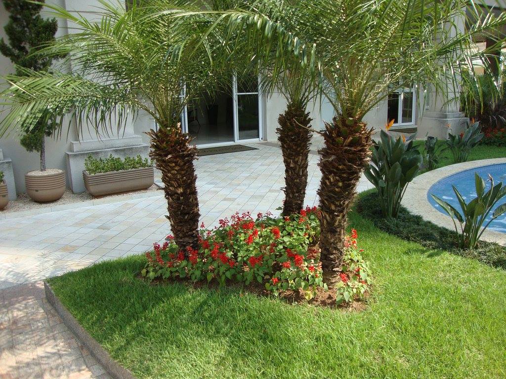 Projeto paisagístico com palmeiras e flores vermelhas